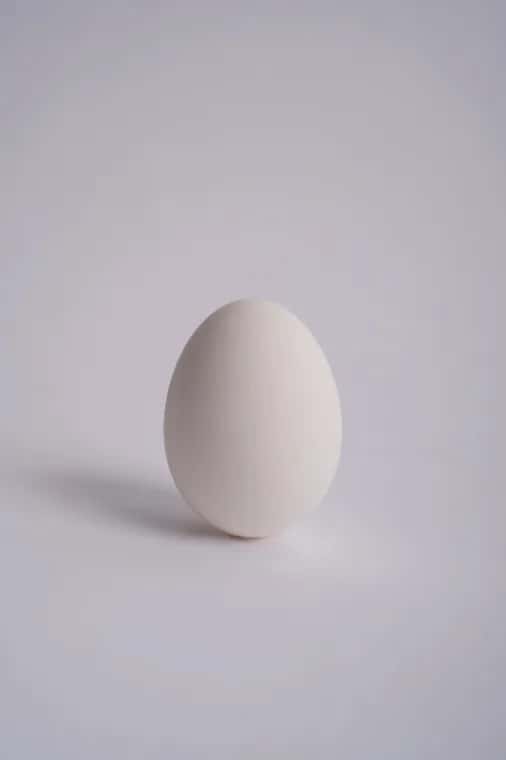 Why Do Eggs Smell Fishy? A Complete Guide to the Causes and How to Eliminate It!