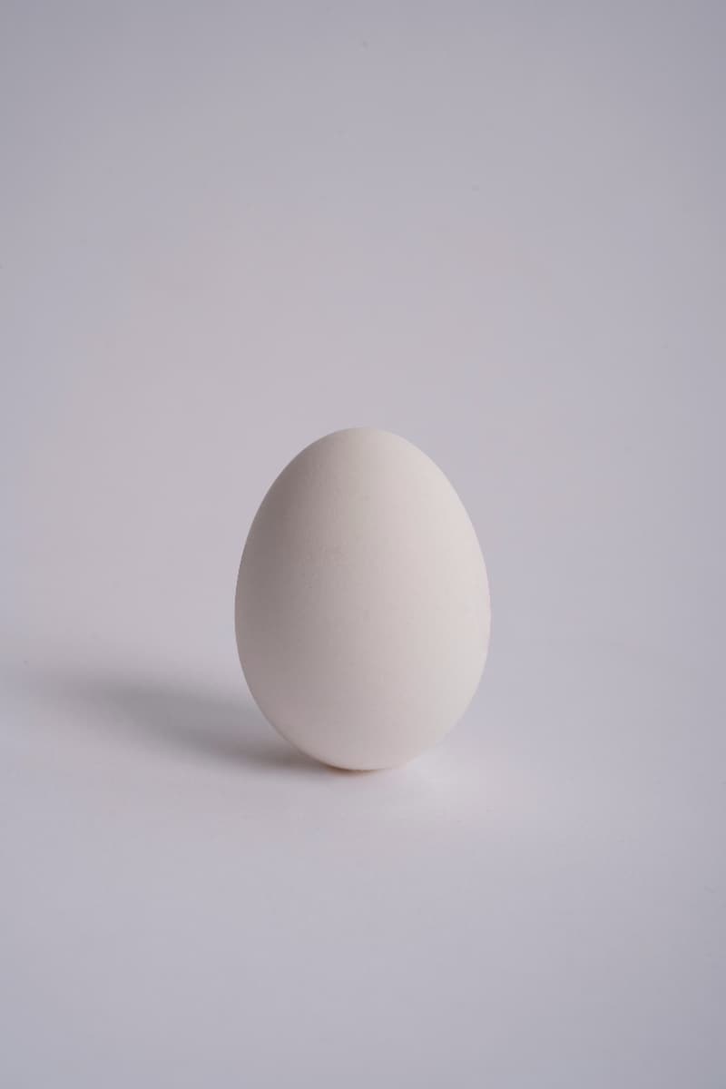 달걀 비린내, 왜 나는 걸까? 원인부터 제거 꿀팁까지 한 번에 정리!